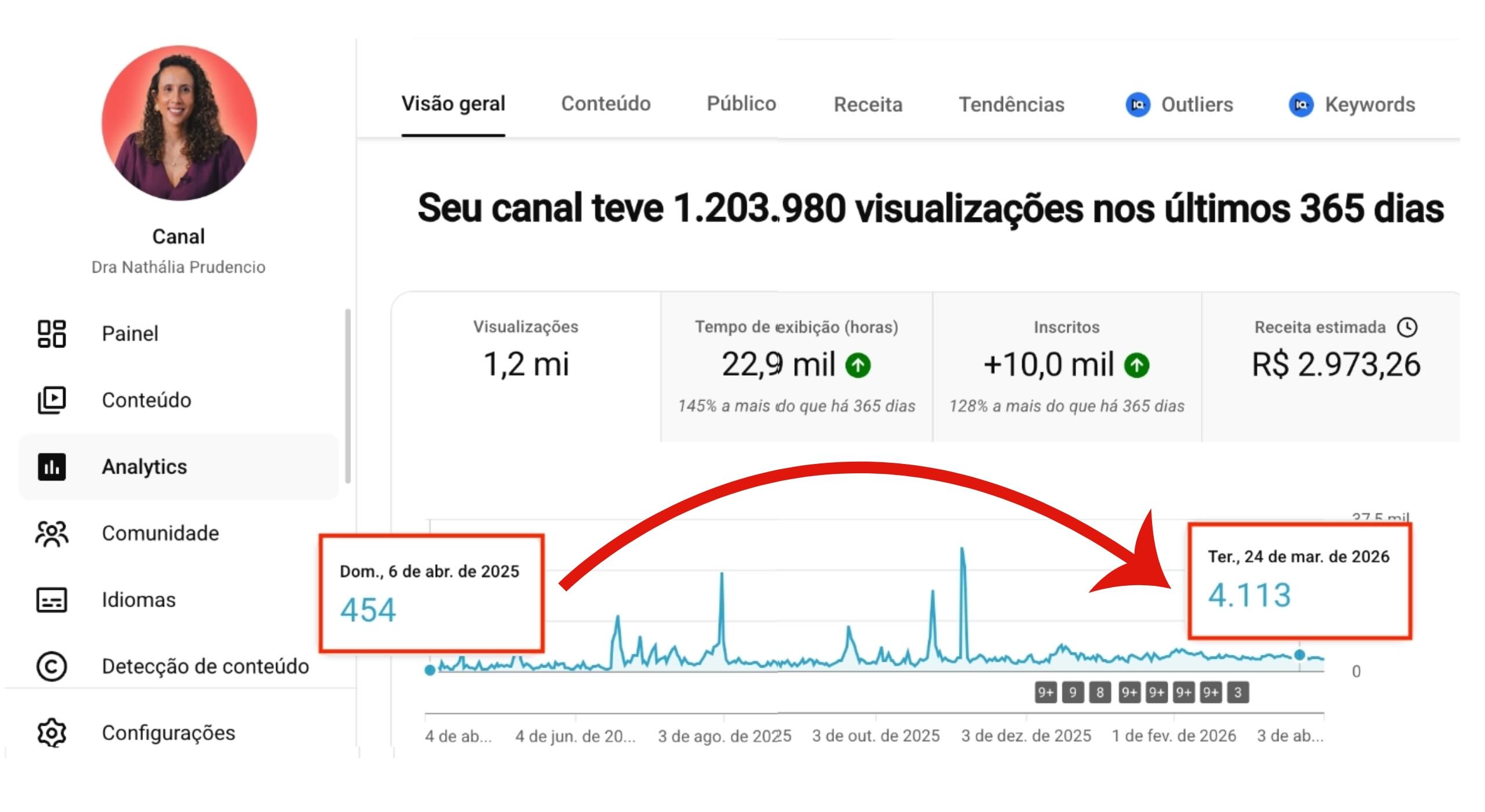 Analytics do canal da Dra. Nathália em 12 meses